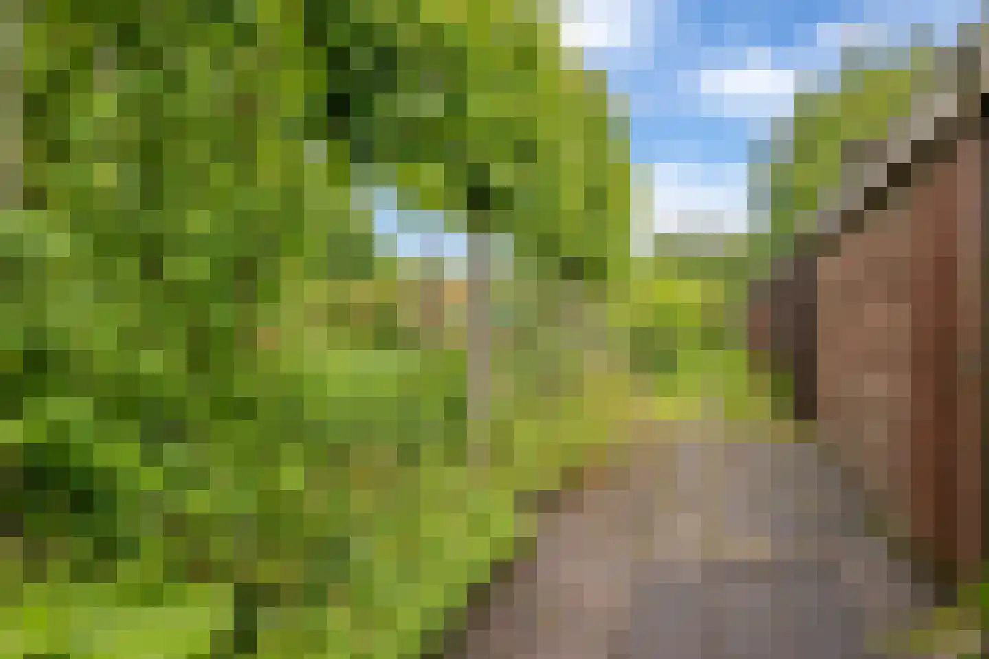 Diephuisstraat 28 Groningen thumbnail 38