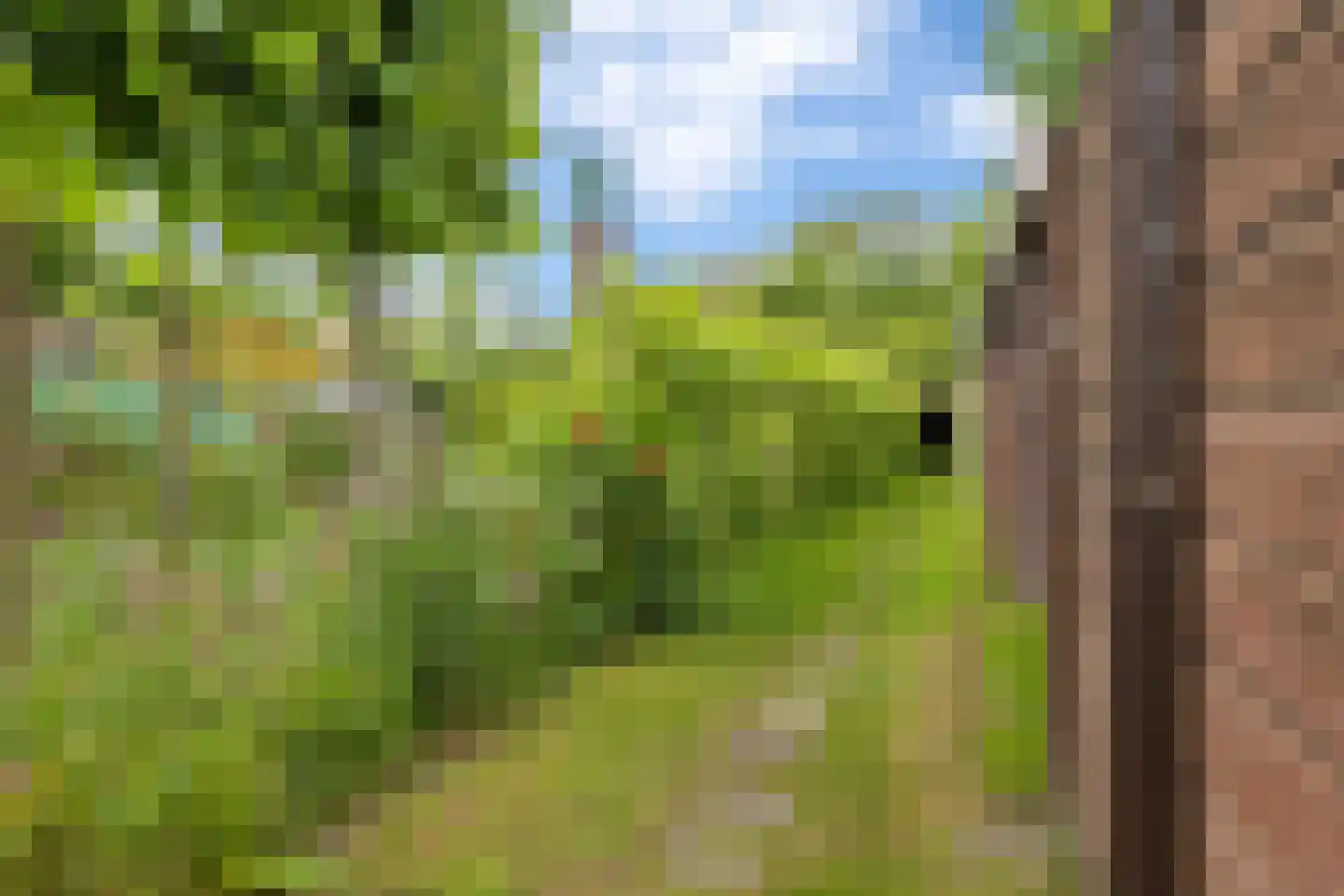 Diephuisstraat 28 Groningen thumbnail 39