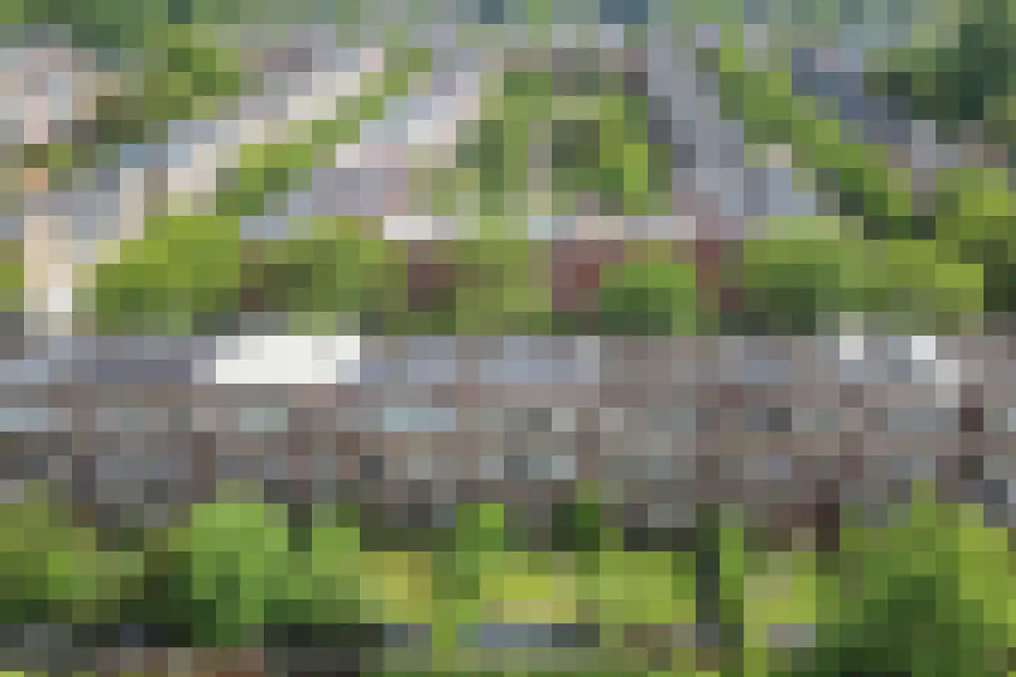 Diephuisstraat 28 Groningen thumbnail 45