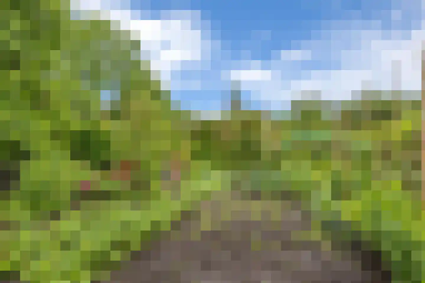 Diephuisstraat 28 Groningen thumbnail 50