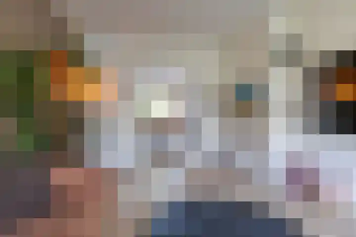 Diephuisstraat 43 Groningen thumbnail 11