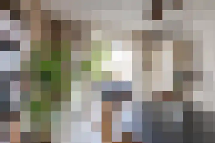 Diephuisstraat 43 Groningen thumbnail 15