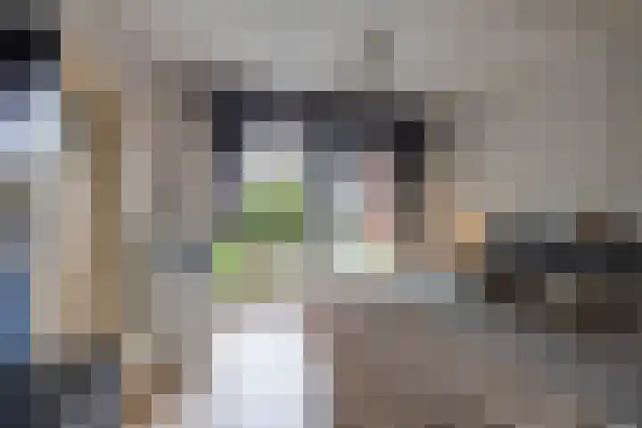 Diephuisstraat 43 Groningen thumbnail 26