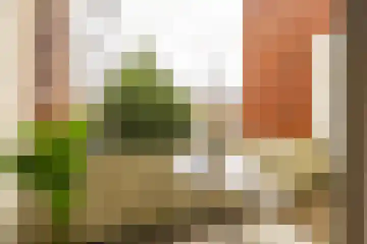 Diephuisstraat 43 Groningen thumbnail 29