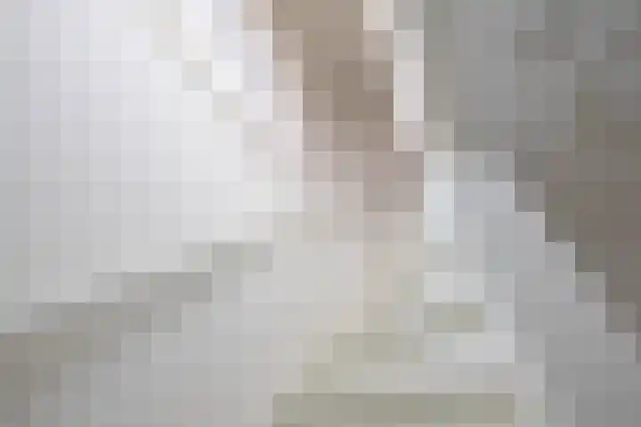 Diephuisstraat 43 Groningen thumbnail 33