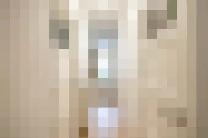 Diephuisstraat 43 Groningen thumbnail 6