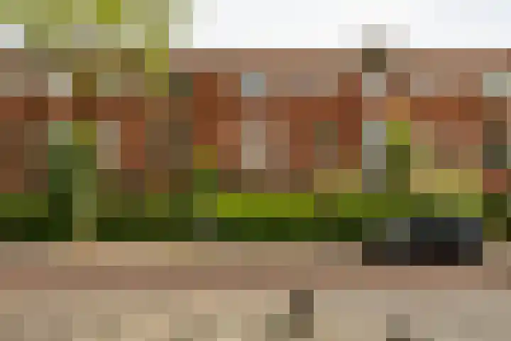 Diephuisstraat 5 b Groningen thumbnail 22