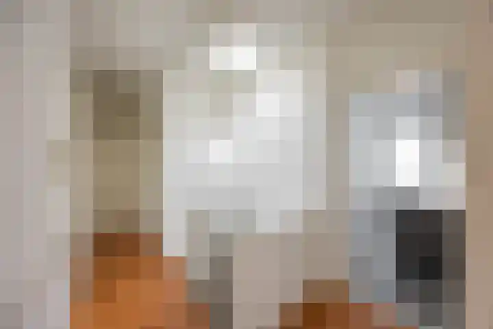 Diephuisstraat 5 b Groningen thumbnail 8
