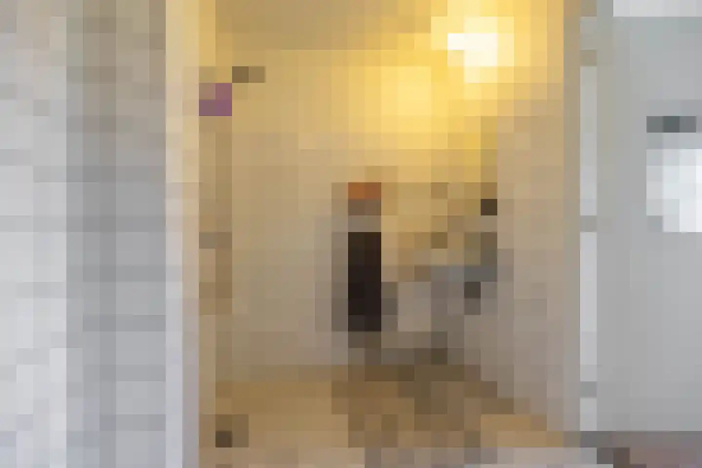 Diephuisstraat 5 Groningen thumbnail 19