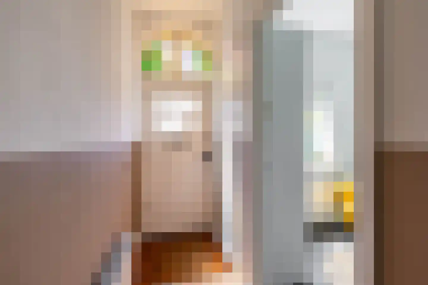 Diephuisstraat 5 Groningen thumbnail 6