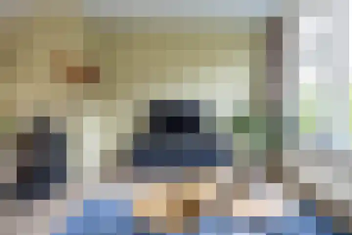 Diephuisstraat 52 Groningen thumbnail 11