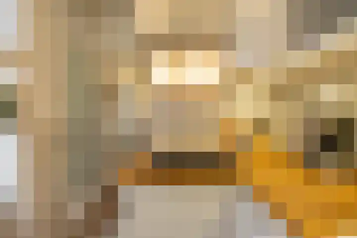 Diephuisstraat 52 Groningen thumbnail 19