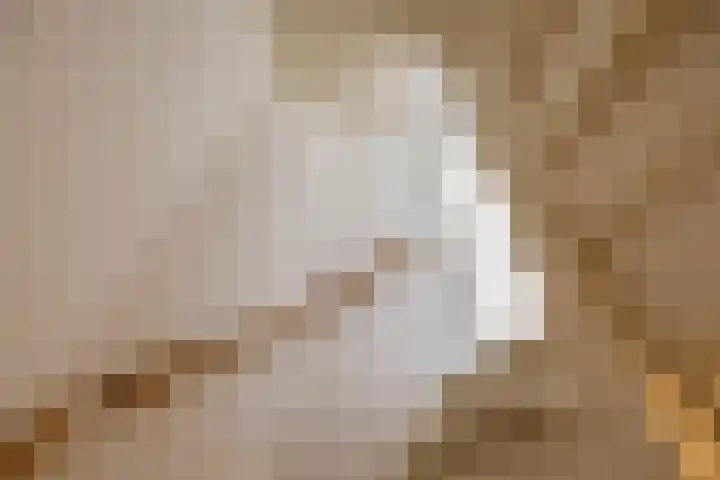 Diephuisstraat 52 Groningen thumbnail 26