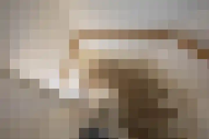 Diephuisstraat 52 Groningen thumbnail 31