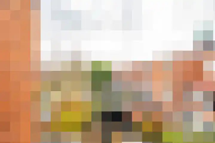 Diephuisstraat 52 Groningen thumbnail 36