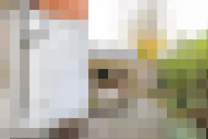 Diephuisstraat 52 Groningen thumbnail 38