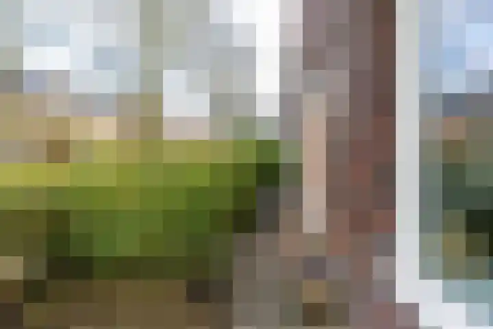 Diephuisstraat 52 Groningen thumbnail 4