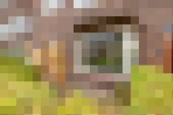 Diephuisstraat 52 Groningen thumbnail 42
