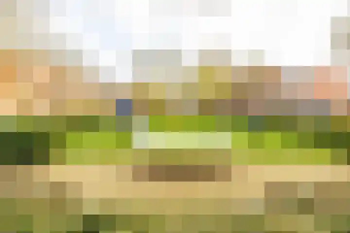 Diephuisstraat 52 Groningen thumbnail 44