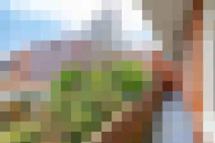 Diephuisstraat 7 a Groningen thumbnail 17