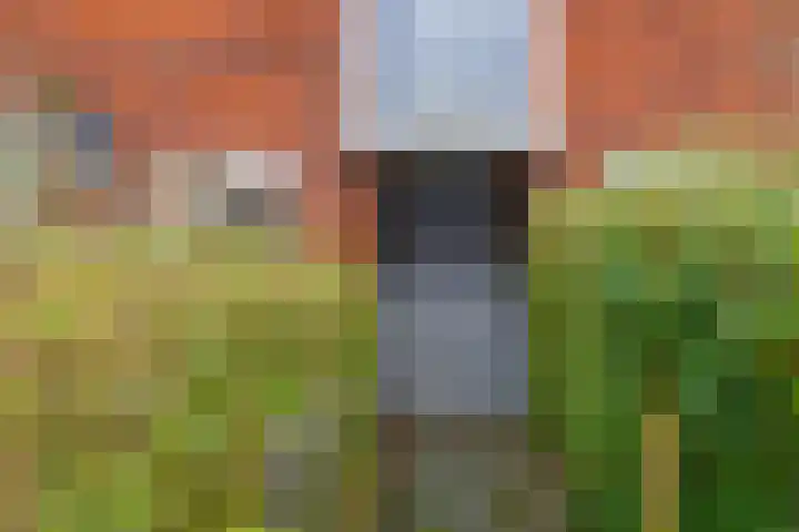 Diephuisstraat 7 a Groningen thumbnail 6