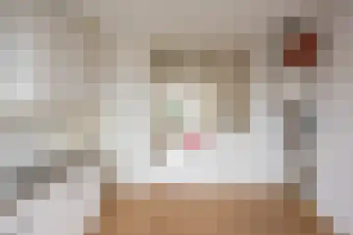 Diephuisstraat 7 b Groningen thumbnail 16