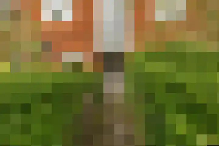 Diephuisstraat 7 b Groningen thumbnail 4