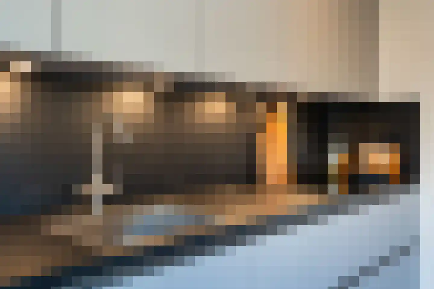 Diepmaat 11 Westerbork thumbnail 16