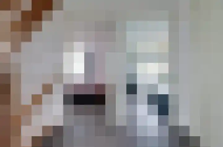 Diepmaat 23 Westerbork thumbnail 28