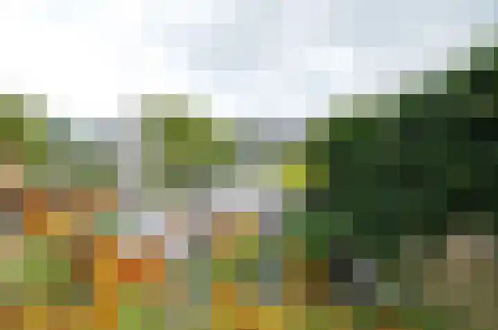 Diepmaat 23 Westerbork thumbnail 38