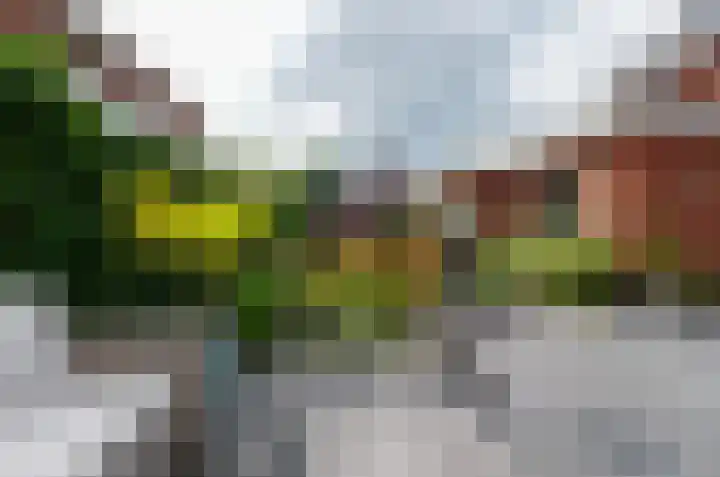 Diepmaat 23 Westerbork thumbnail 40
