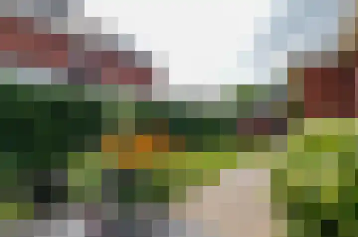 Diepmaat 23 Westerbork thumbnail 41