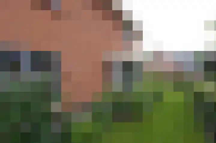 Diepmaat 23 Westerbork thumbnail 47