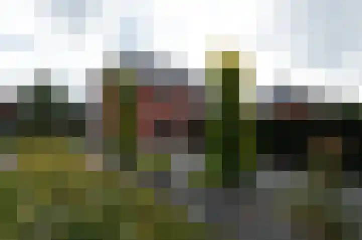 Diepmaat 23 Westerbork thumbnail 49