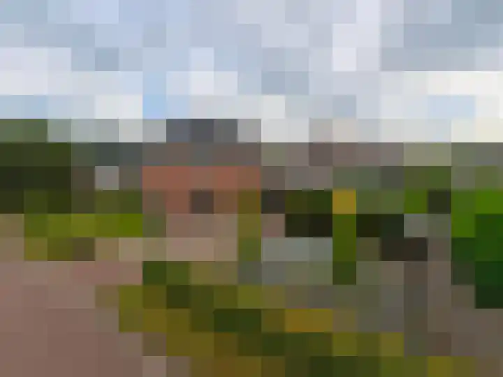 Diepmaat 23 Westerbork thumbnail 72