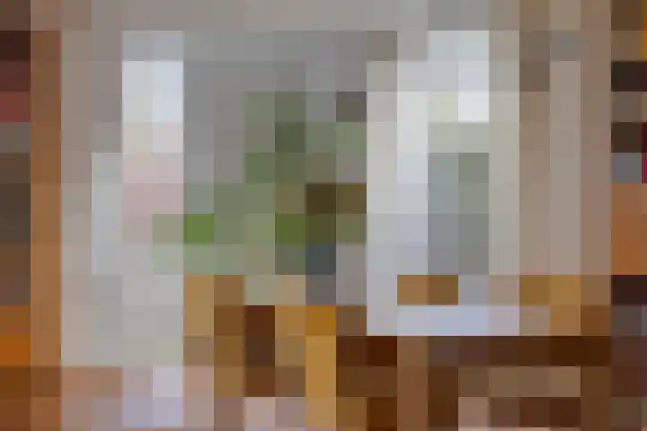 Diepmeerven 68 Eindhoven thumbnail 13
