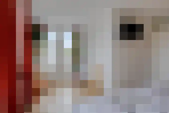Diepmeerven 68 Eindhoven thumbnail 22