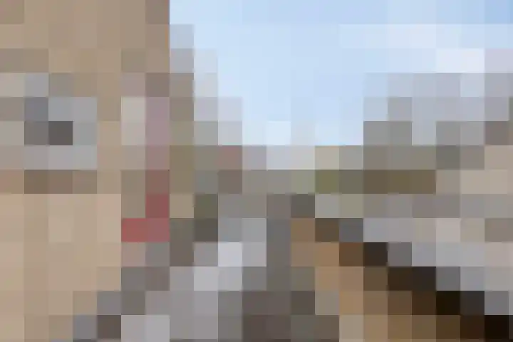 Diepmeerven 68 Eindhoven thumbnail 23