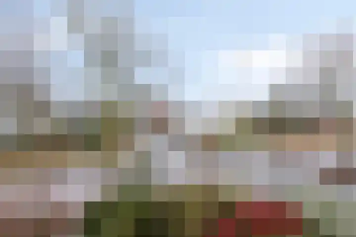 Diepmeerven 68 Eindhoven thumbnail 24