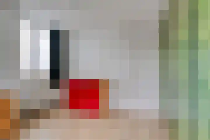Diepmeerven 68 Eindhoven thumbnail 28