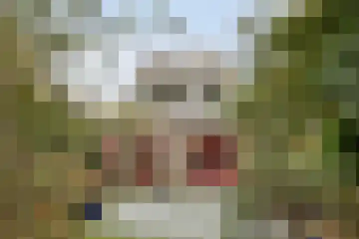 Diepmeerven 68 Eindhoven thumbnail 34