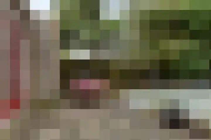 Diepmeerven 68 Eindhoven thumbnail 35