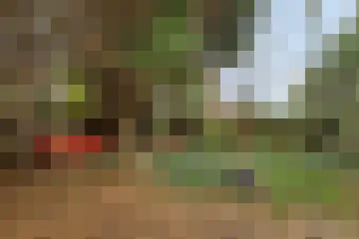 Diepmeerven 68 Eindhoven thumbnail 38