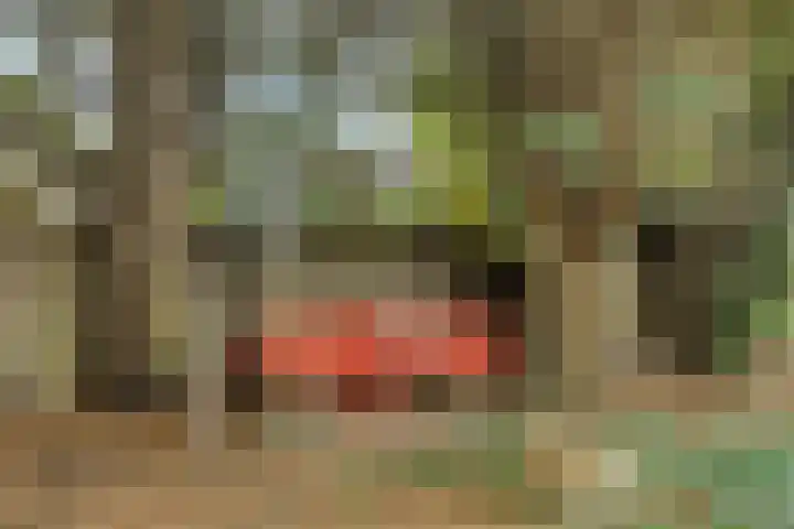 Diepmeerven 68 Eindhoven thumbnail 39