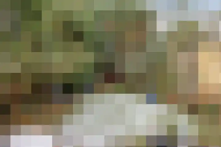 Diepmeerven 68 Eindhoven thumbnail 4
