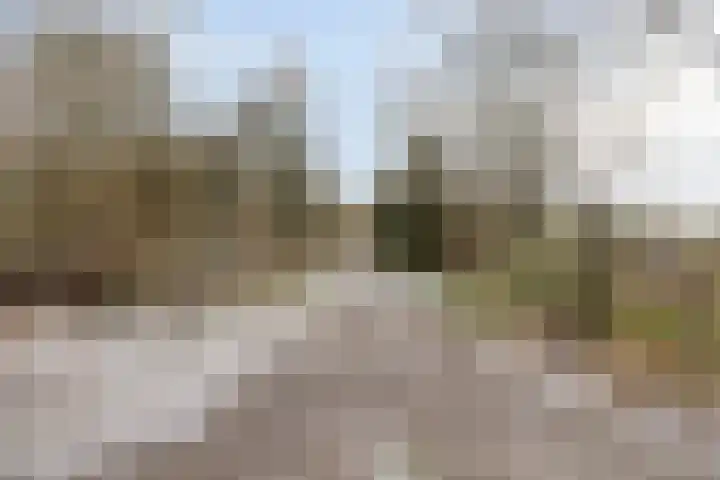 Diepmeerven 68 Eindhoven thumbnail 42