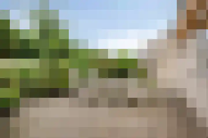 Diepmeerven 80 Eindhoven thumbnail 26