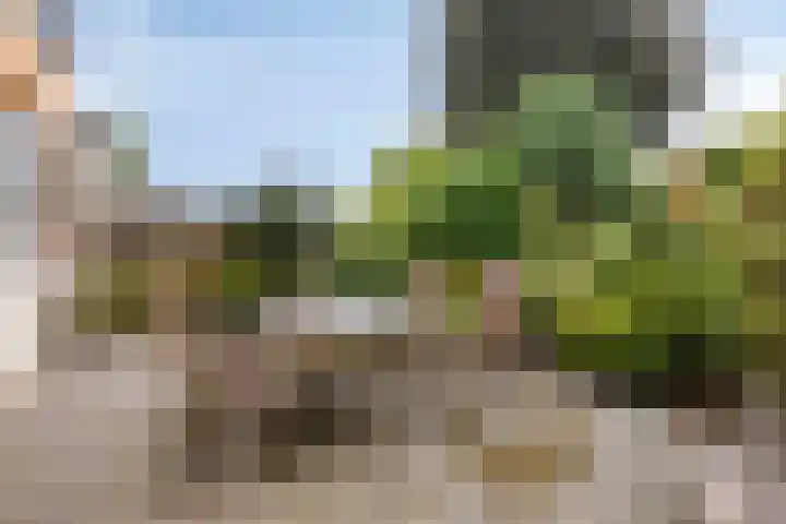 Diepmeerven 80 Eindhoven thumbnail 27