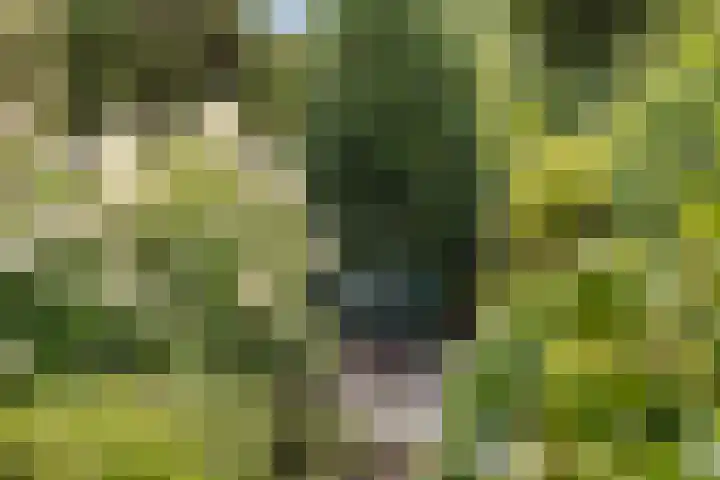 Diepmeerven 80 Eindhoven thumbnail 28