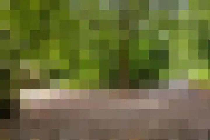 Diepmeerven 80 Eindhoven thumbnail 31